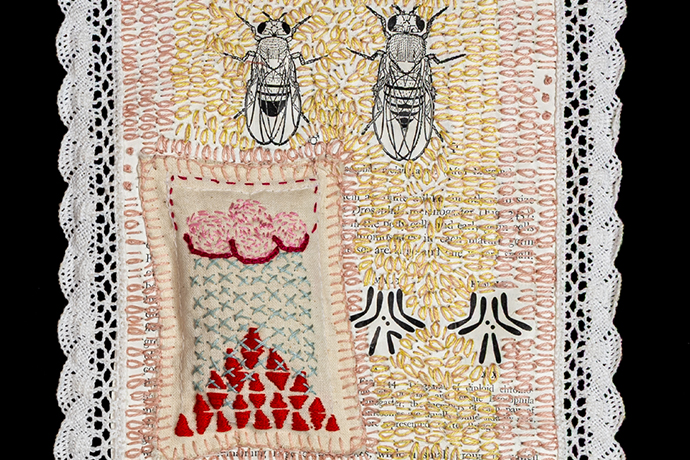 altered pages fiber arts Pamela Winegard